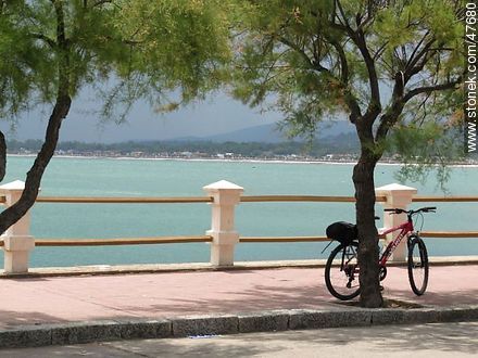 Bicicleta a la sombra - Departamento de Maldonado - URUGUAY. Foto No. 47680