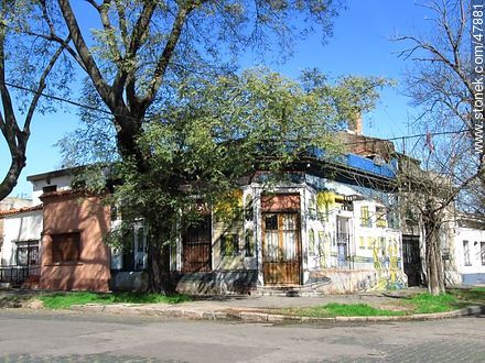 Calle Carlos Solé - Departamento de Montevideo - URUGUAY. Foto No. 47881