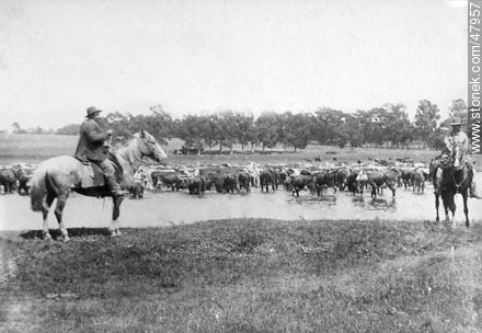 Arreando ganado a principios del siglo XX -  - URUGUAY. Foto No. 47957