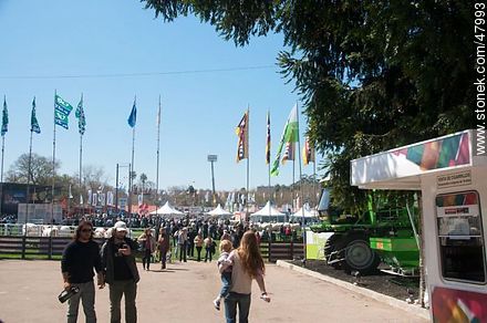 Ground of the Rural Exposition 2011 - Department of Montevideo - URUGUAY. Photo #47993