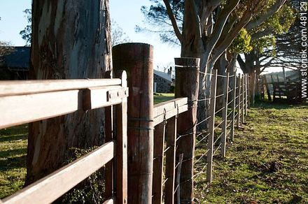 Farm Fence -  - MORE IMAGES. Photo #48129