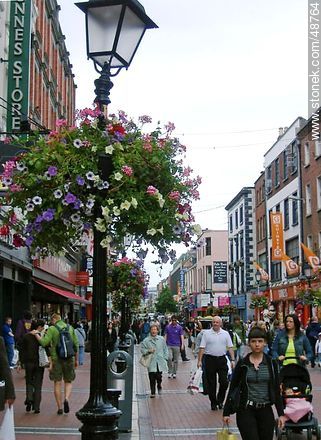 Pedestrian shopping street in Dublin. Ornaments petunias. - Ireland - BRITISH ISLANDS. Photo #48764