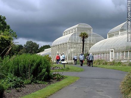 Botanical Garden of Dublin. Greenhouses. - Ireland - BRITISH ISLANDS. Photo #48718