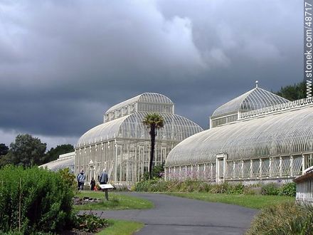 Botanic Gardens of Dublin. Glasshouses. - Ireland - BRITISH ISLANDS. Photo #48717