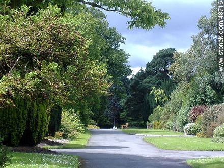 Jardín Botánico de Dublín - ireland - ISLAS BRITÁNICAS. Foto No. 48716