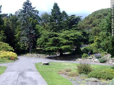 Botanical Garden of Dublin.  - Ireland - BRITISH ISLANDS. Photo #48715
