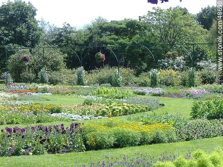 Botanical Garden. Flower beds. - Ireland - BRITISH ISLANDS. Photo #48690