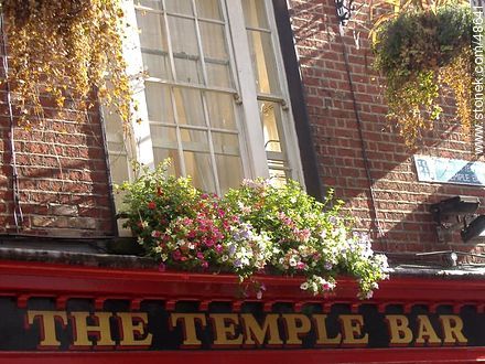 The Temple Bar en Temple Lane - ireland - ISLAS BRITÁNICAS. Foto No. 48641
