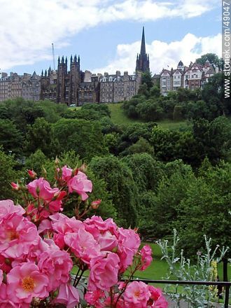 Rose Garden, the University of Edinburgh and The Hub. - Scotland - BRITISH ISLANDS. Photo #49047