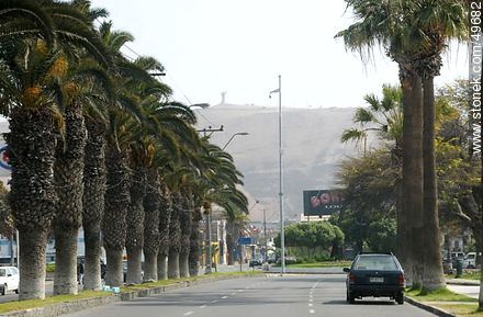 Avenida General Velásquez - Chile - Otros AMÉRICA del SUR. Foto No. 49682