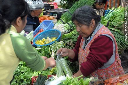 Lady selling vegetables - Chile - Others in SOUTH AMERICA. Photo #50023
