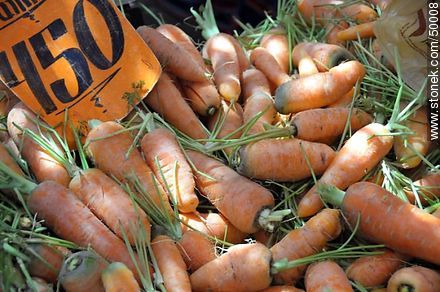Carrots - Chile - Others in SOUTH AMERICA. Photo #50008