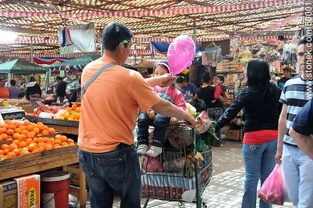Familia de compras en el Agro - Chile - Otros AMÉRICA del SUR. Foto No. 50001