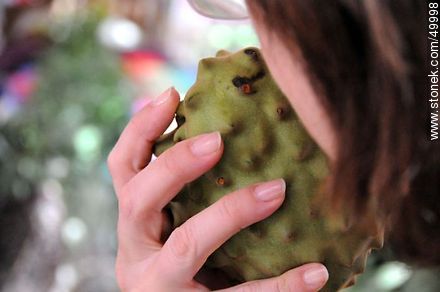 Smelling a cherimoya - Chile - Others in SOUTH AMERICA. Photo #49998