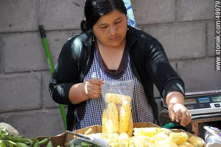 Bagging corn. - Chile - Others in SOUTH AMERICA. Photo #49979