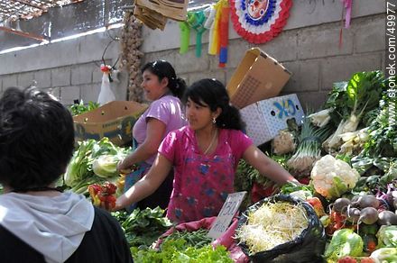 Hortalizas en el Agro - Chile - Otros AMÉRICA del SUR. Foto No. 49977