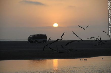 Aves en el humedal de la desembocadura del Río Lluta. - Chile - Otros AMÉRICA del SUR. Foto No. 50093