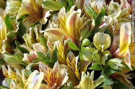 Arreglos florales con liliums - Chile - Otros AMÉRICA del SUR. Foto No. 50323