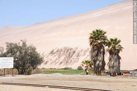 Plantaciones al borde del desierto. - Chile - Otros AMÉRICA del SUR. Foto No. 50540