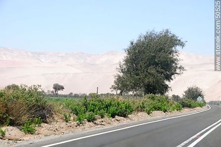 Ruta 11 desde Arica a la frontera boliviana - Chile - Otros AMÉRICA del SUR. Foto No. 50525
