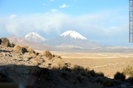 Pomerape and Parinacota volcanoes in the mountains of Nevados de Payachatas - Chile - Others in SOUTH AMERICA. Photo #50759