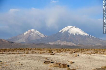 Pomerape and Parinacota volcanoes in the mountains of Nevados de Payachatas - Chile - Others in SOUTH AMERICA. Photo #50755