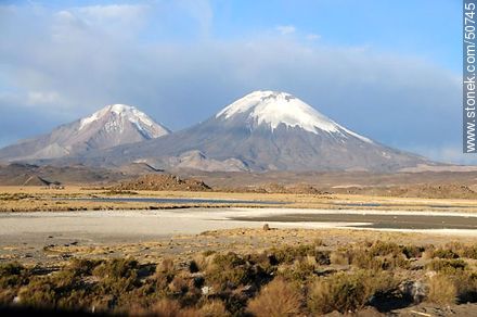 Volcanes Parinacota y Pomerape desde ruta 11 de Chile. Altitud: 4400m - Chile - Otros AMÉRICA del SUR. Foto No. 50745
