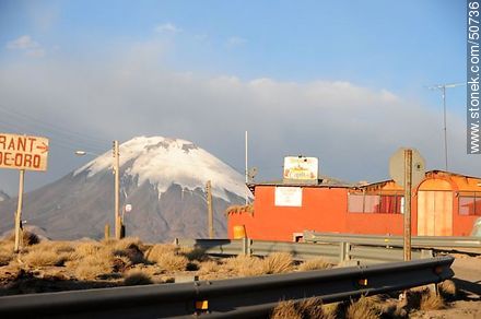 Copihue and Parinacota volcano. - Chile - Others in SOUTH AMERICA. Photo #50736
