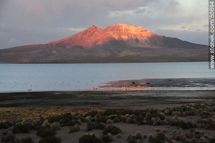 Quisiquisini Volcano and Lake Chungará. - Chile - Others in SOUTH AMERICA. Photo #50694