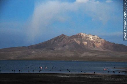 Quisiquisini Volcano and Lake Chungará. - Chile - Others in SOUTH AMERICA. Photo #50675
