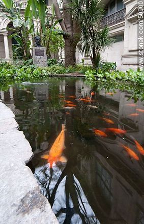 School of Law. Library. Carassius and carp pond. - Department of Montevideo - URUGUAY. Photo #50900