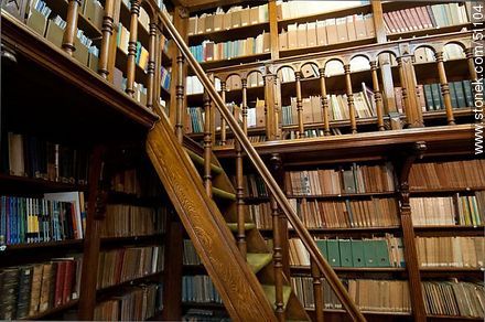 Biblioteca del Museo Pedagógico - Departamento de Montevideo - URUGUAY. Foto No. 51104