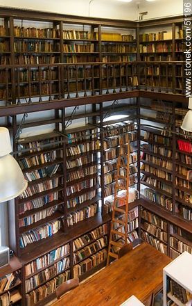 Biblioteca del IAVA - Departamento de Montevideo - URUGUAY. Foto No. 51196
