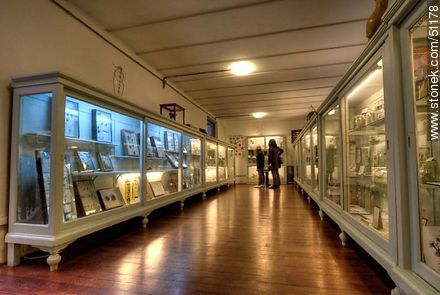 Museo de Historia Natural del IAVA - Departamento de Montevideo - URUGUAY. Foto No. 51178