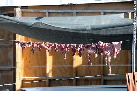 Drying meat - Chile - Others in SOUTH AMERICA. Photo #51500