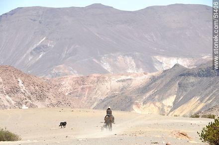 Rider through the desert with his dogs - Chile - Others in SOUTH AMERICA. Photo #51406