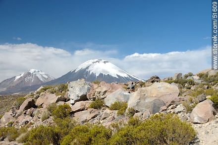Volcanes Pomerape y Parinacota de la cadena de Nevados de Payachatas. - Chile - Otros AMÉRICA del SUR. Foto No. 51609