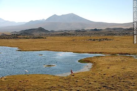 Laguna próxima al pueblo Parinacota - Chile - Otros AMÉRICA del SUR. Foto No. 51599