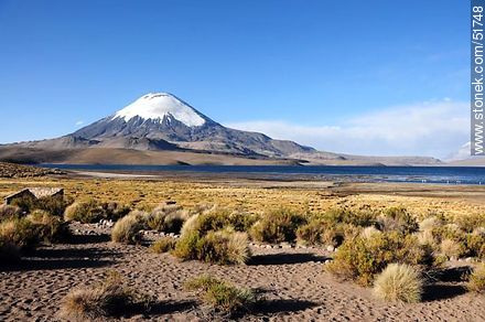 Parinacota volcano, lake Chungará. - Chile - Others in SOUTH AMERICA. Photo #51748