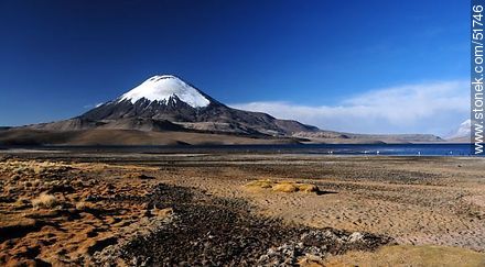Volcán Parinacota.  Lago Chungará. - Chile - Otros AMÉRICA del SUR. Foto No. 51746