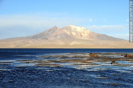 Quisiquisini volcano, lake Chungará - Chile - Others in SOUTH AMERICA. Photo #51739