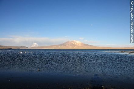 Lago Chungará, flamencos, volcanes Sajama y Quisiquisini. - Chile - Otros AMÉRICA del SUR. Foto No. 51725