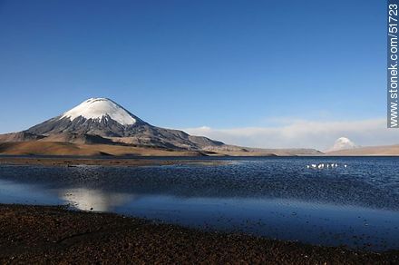 Parinacota volcano. Sajama volcano, lake Chungará. - Chile - Others in SOUTH AMERICA. Photo #51723