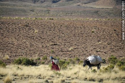 Campesina boliviana con su burro de carga - Bolivia - Otros AMÉRICA del SUR. Foto No. 51861