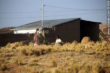 Farmers in Bolivian fieldwork - Bolivia - Others in SOUTH AMERICA. Photo #51906
