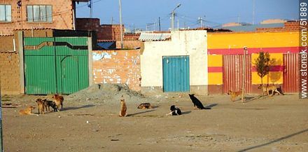Nazo Cruz, Route 1, Bolivia.  - Bolivia - Others in SOUTH AMERICA. Photo #51889