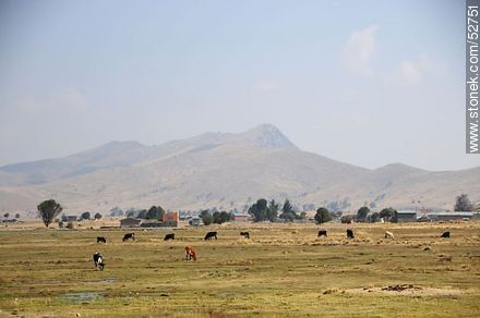 Comunidad agraria en Ruta 2 - Bolivia - Otros AMÉRICA del SUR. Foto No. 52751