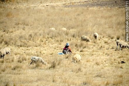 Pastora con su rebaño de ovejas - Bolivia - Otros AMÉRICA del SUR. Foto No. 52711