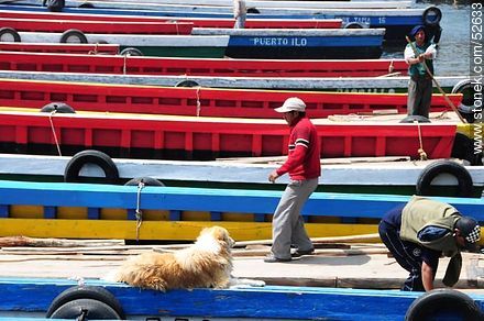 Tiquina. Flat-bottomed  boats for the vehicle crossing to the other side - Bolivia - Others in SOUTH AMERICA. Photo #52633