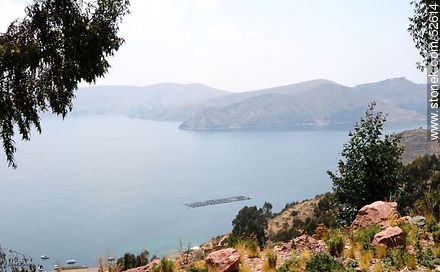 Granja artificial para cría de truchas en el lago Titicaca - Bolivia - Otros AMÉRICA del SUR. Foto No. 52614
